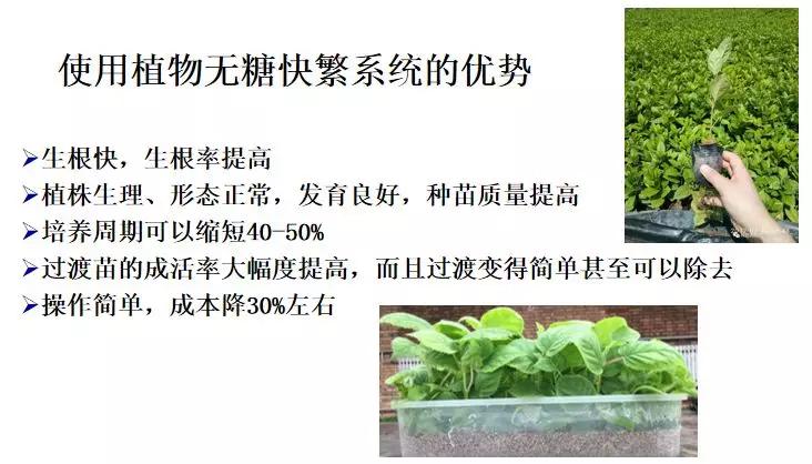 1577933648356067.jpg 640wx_fmt=png&tp=webp&wxfrom=5&wx_lazy=1&wx_co=1.jpg