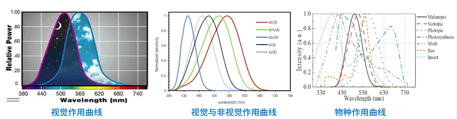 1770013500835968.png 微信图片_20260202141834.png