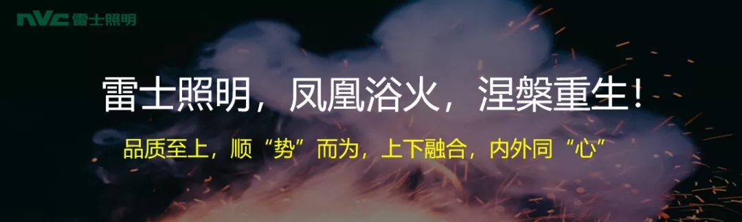 1597905932971325.jpg 雷士林10.webp.jpg