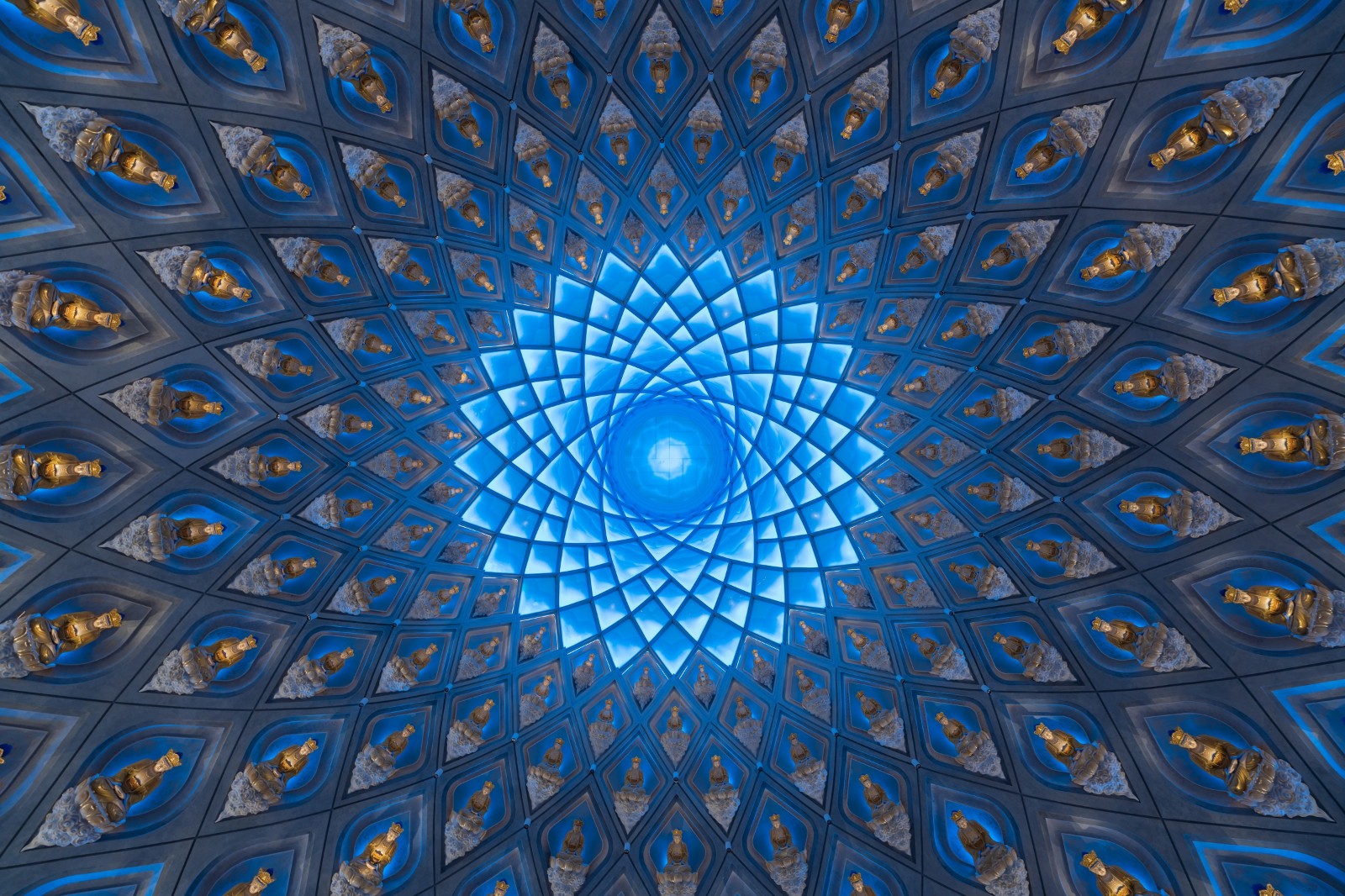 1606093923399855.jpg