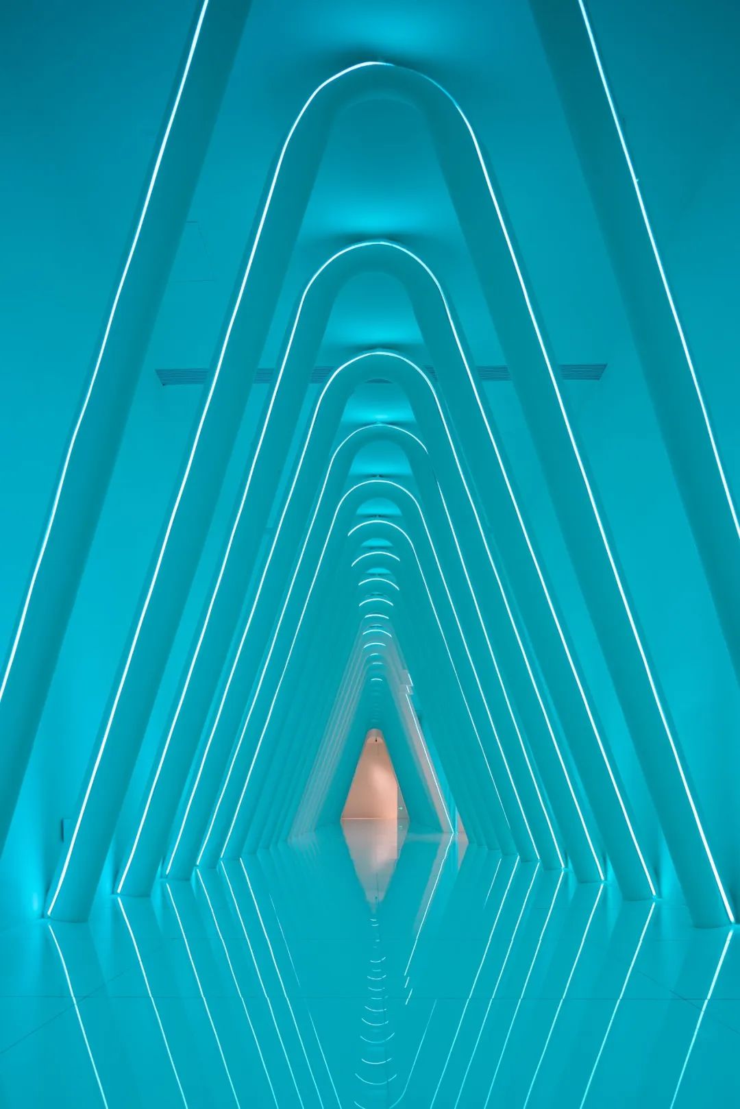 1657182768447548.jpg 1.jpg