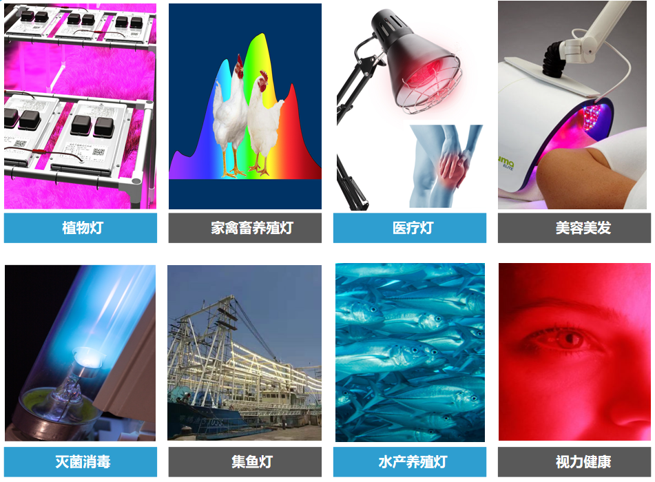 1635128195503232.png 4.png