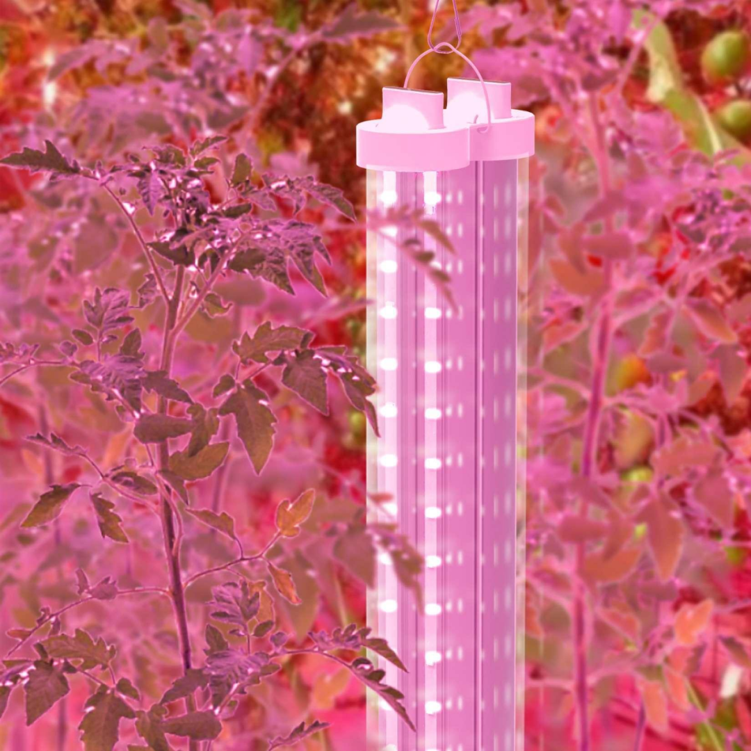 1661502530844303.png 640 (4).png