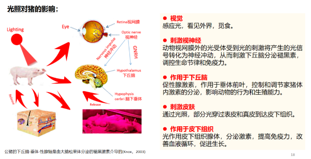 1660806466957339.png image.png
