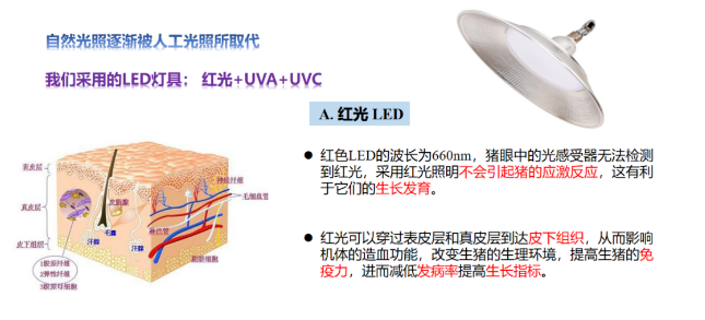 1660806494557971.png image.png