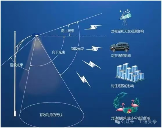1760579593471686.jpg 微信图片_20251016093942.jpg