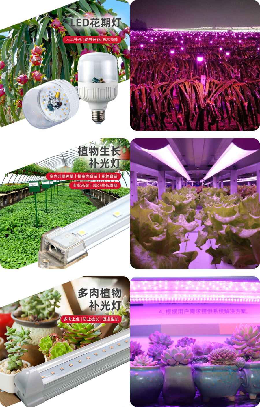 1679290898967539.jpg 640 (7)_看图王.jpg