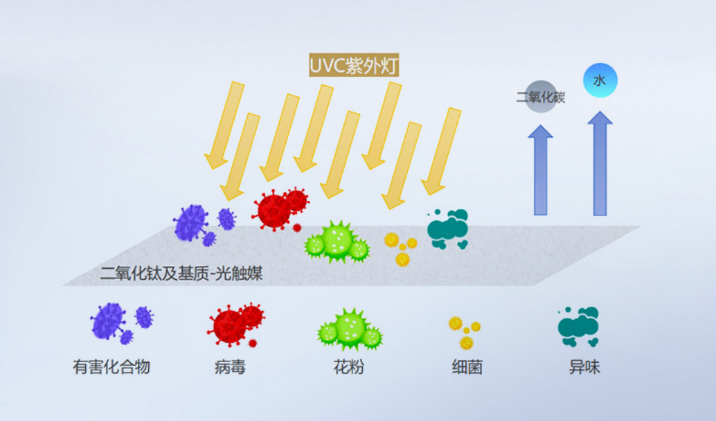 1684811075347793.png 图片2.png