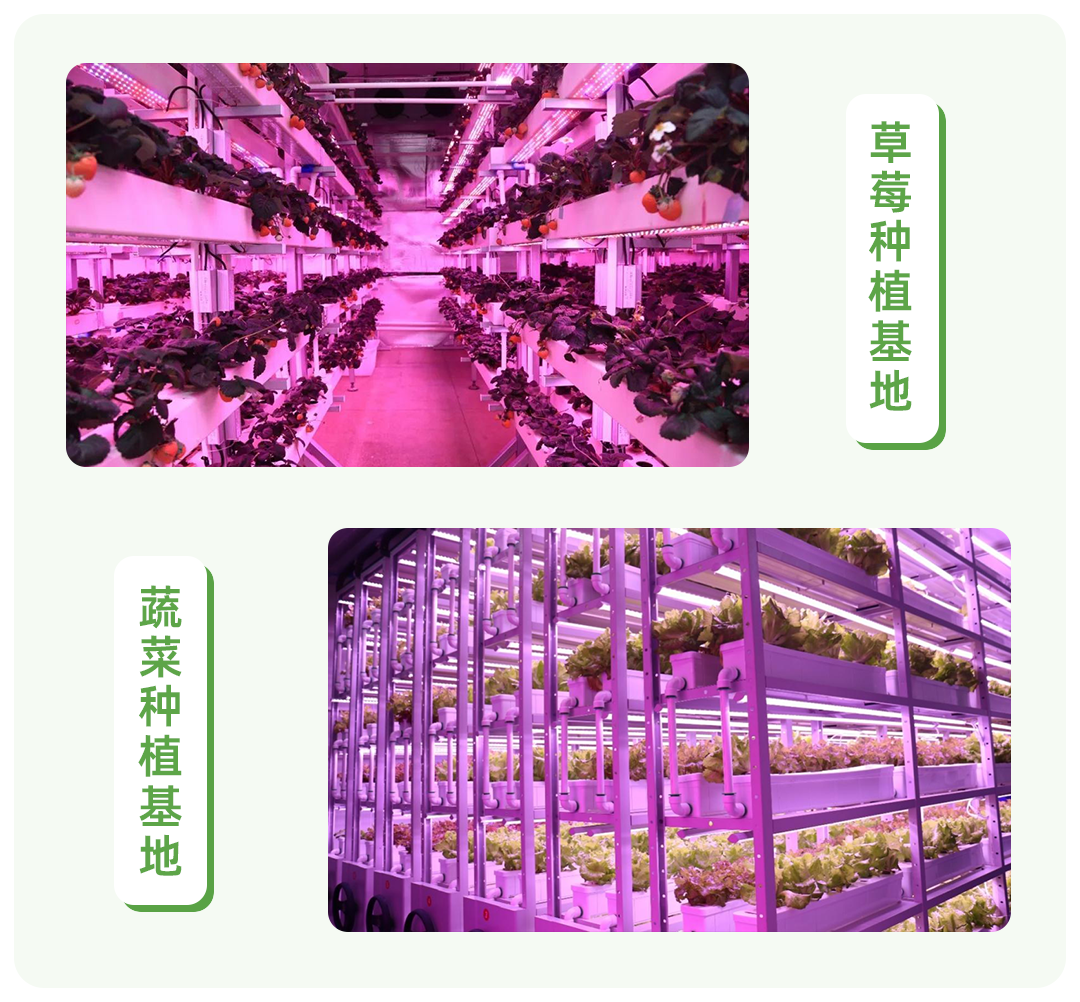 1679290587472729.png 基地1.png