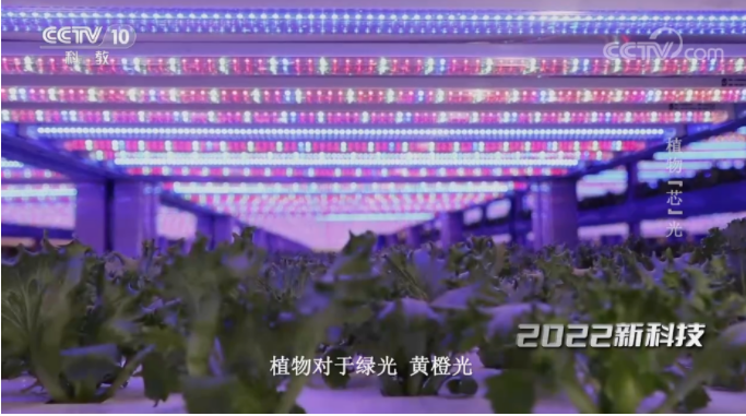 1675672805539520.png image.png