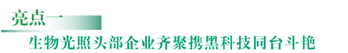 1656397600840623.png image.png
