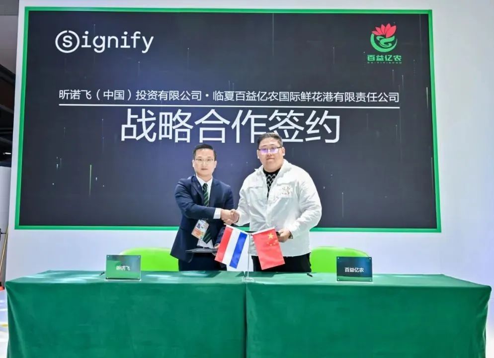 1699341212940535.jpg 12.jpg