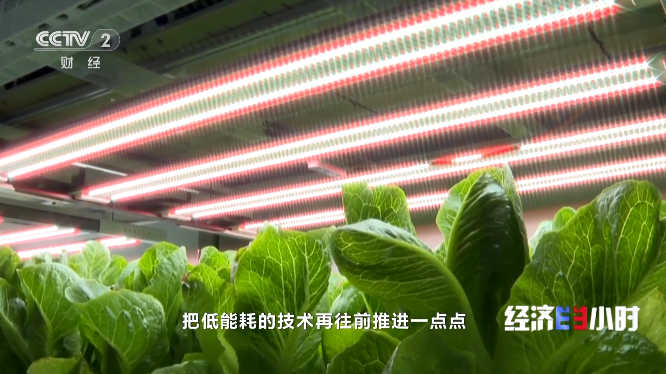 1681715518403407.png 公众号1.png