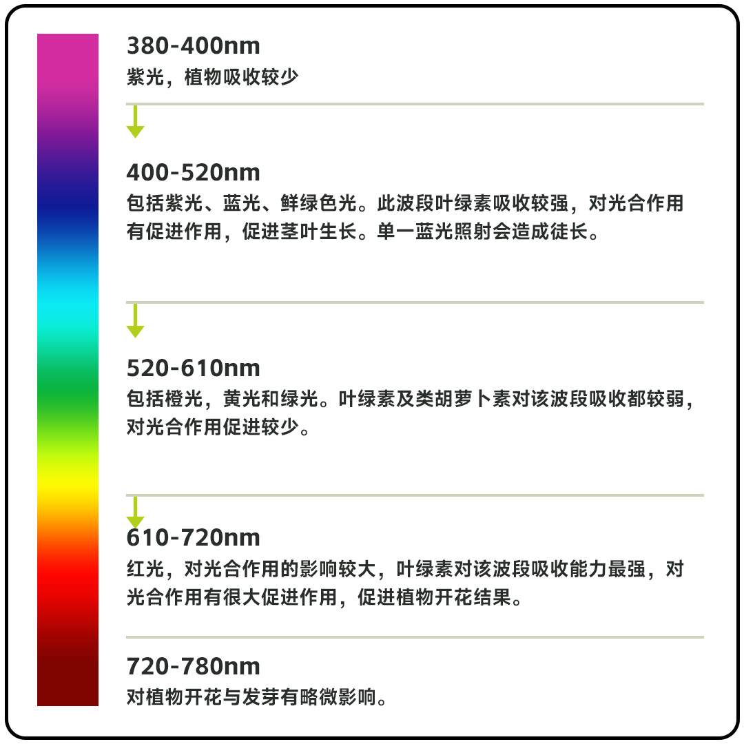 1679290497730789.jpg 光谱.jpg