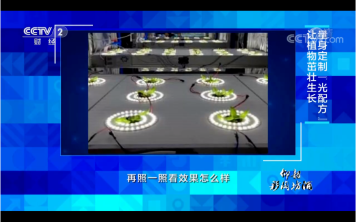 1665560711863967.png image.png