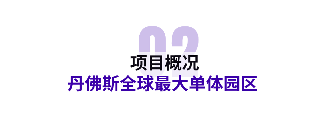 917-82.png